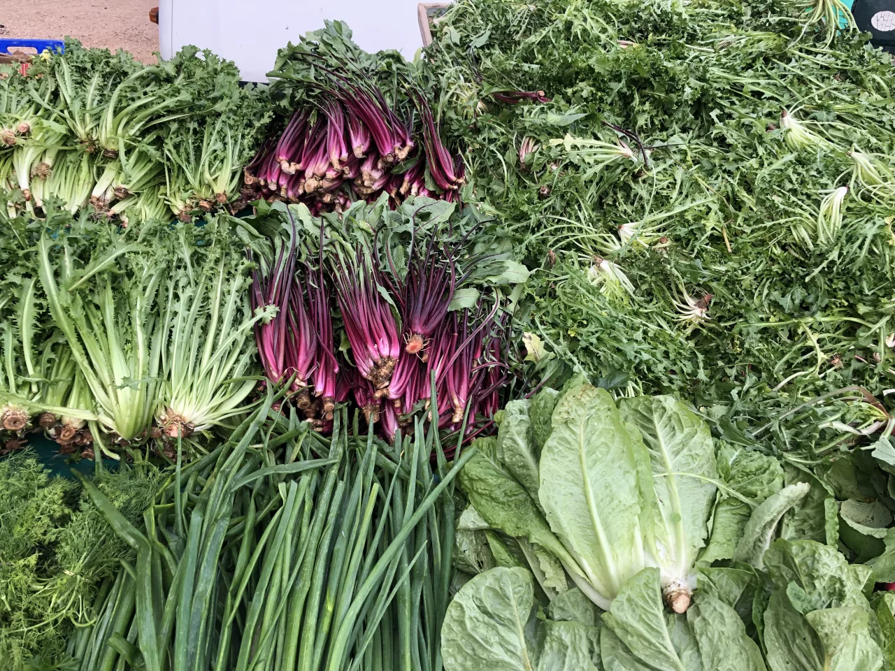 recette végétarienne